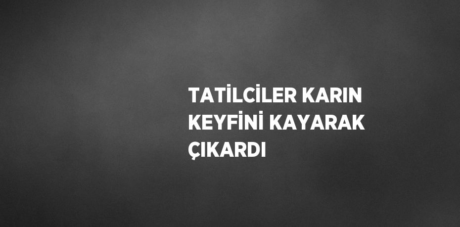 TATİLCİLER KARIN KEYFİNİ KAYARAK ÇIKARDI