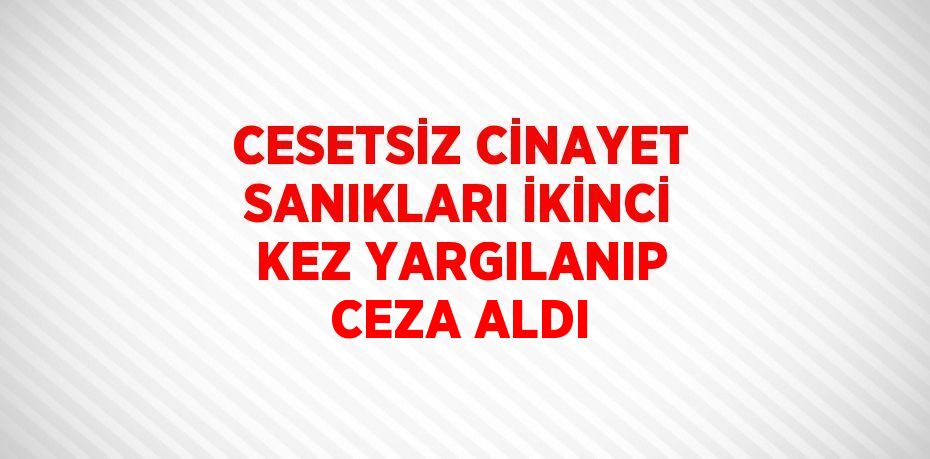 CESETSİZ CİNAYET SANIKLARI İKİNCİ KEZ YARGILANIP CEZA ALDI