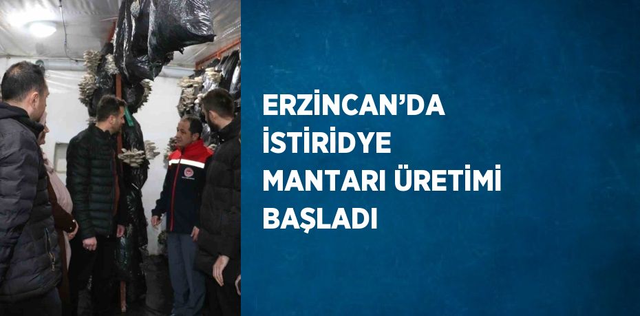 ERZİNCAN’DA İSTİRİDYE MANTARI ÜRETİMİ BAŞLADI