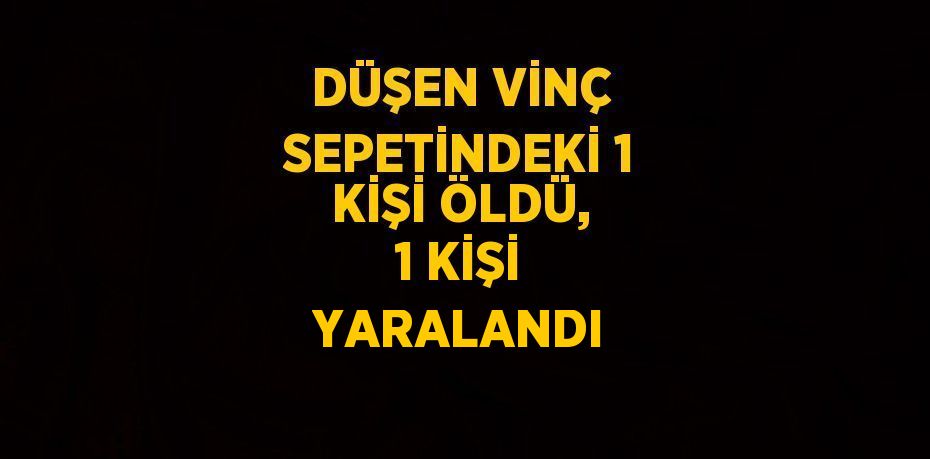 DÜŞEN VİNÇ SEPETİNDEKİ 1 KİŞİ ÖLDÜ, 1 KİŞİ YARALANDI