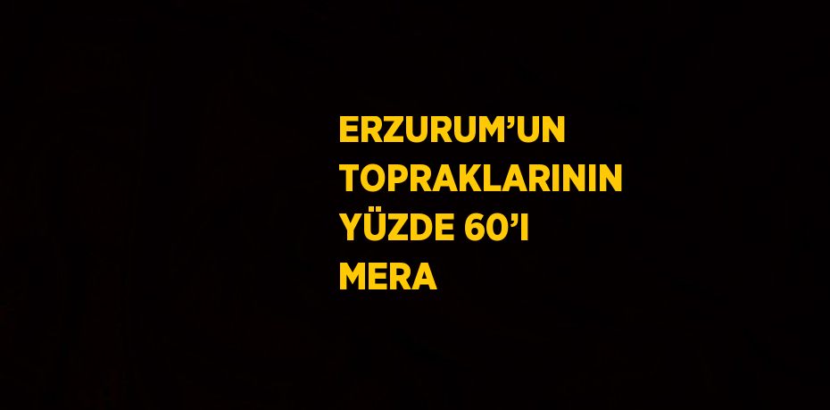 ERZURUM’UN TOPRAKLARININ YÜZDE 60’I MERA