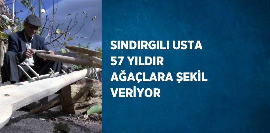 SINDIRGILI USTA 57 YILDIR AĞAÇLARA ŞEKİL VERİYOR