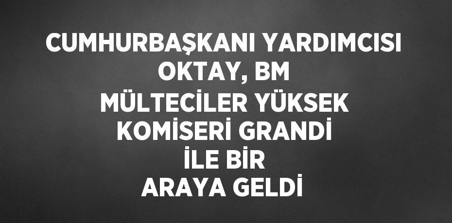 CUMHURBAŞKANI YARDIMCISI OKTAY, BM MÜLTECİLER YÜKSEK KOMİSERİ GRANDİ İLE BİR ARAYA GELDİ