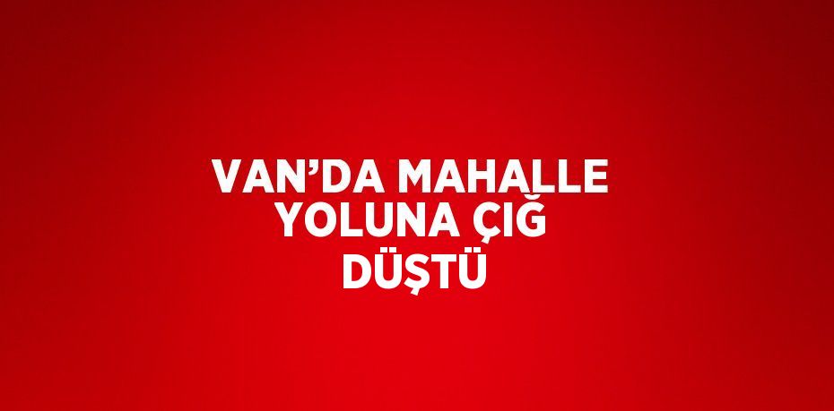 VAN’DA MAHALLE YOLUNA ÇIĞ DÜŞTÜ