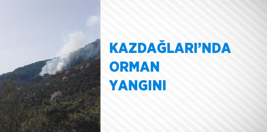 KAZDAĞLARI’NDA ORMAN YANGINI