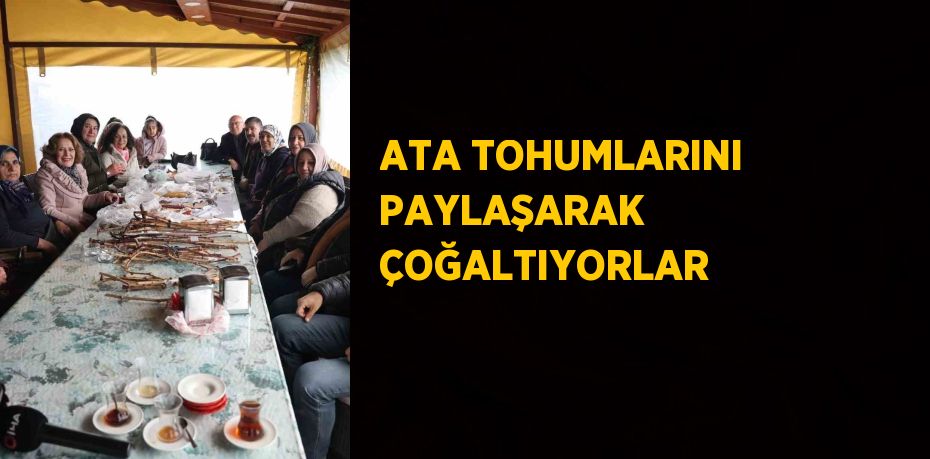 ATA TOHUMLARINI PAYLAŞARAK ÇOĞALTIYORLAR