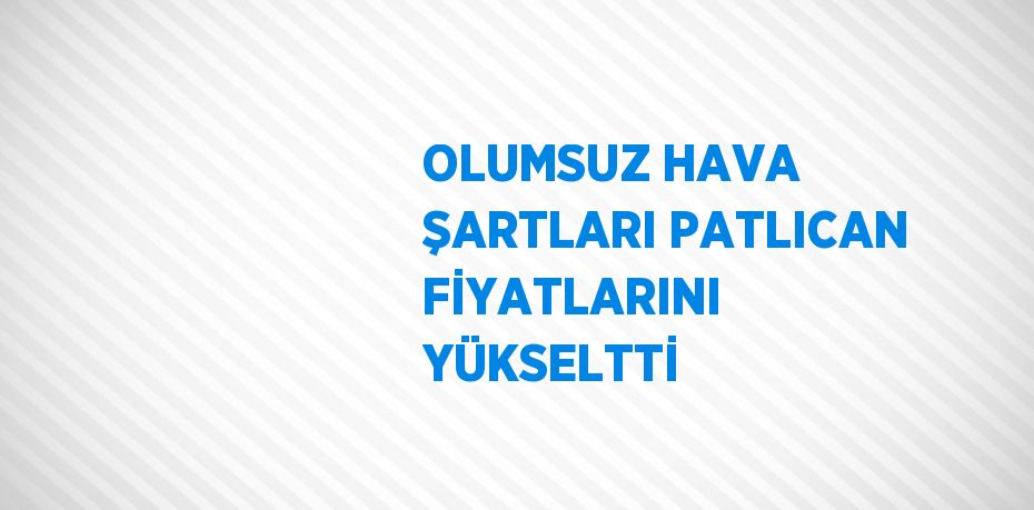 OLUMSUZ HAVA ŞARTLARI PATLICAN FİYATLARINI YÜKSELTTİ