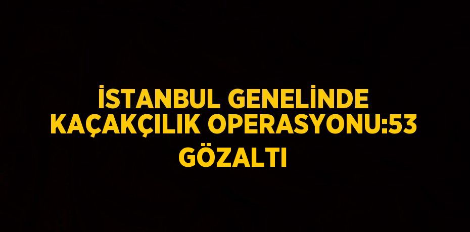 İSTANBUL GENELİNDE KAÇAKÇILIK OPERASYONU:53 GÖZALTI