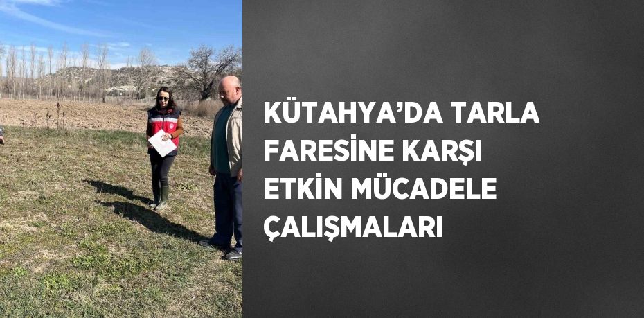 KÜTAHYA’DA TARLA FARESİNE KARŞI ETKİN MÜCADELE ÇALIŞMALARI