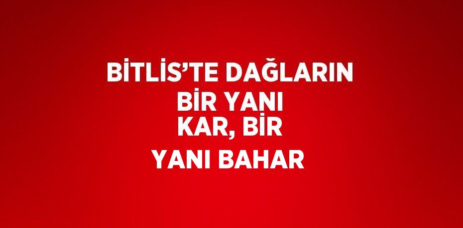 BİTLİS’TE DAĞLARIN BİR YANI KAR, BİR YANI BAHAR