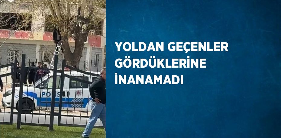 YOLDAN GEÇENLER GÖRDÜKLERİNE İNANAMADI