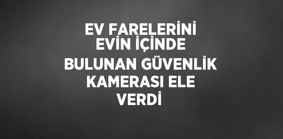 EV FARELERİNİ EVİN İÇİNDE BULUNAN GÜVENLİK KAMERASI ELE VERDİ