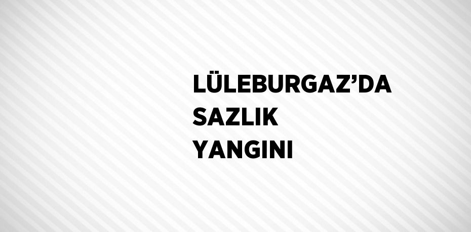 LÜLEBURGAZ’DA SAZLIK YANGINI