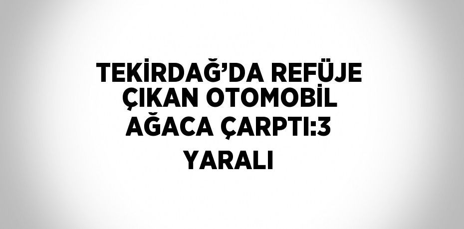 TEKİRDAĞ’DA REFÜJE ÇIKAN OTOMOBİL AĞACA ÇARPTI:3 YARALI