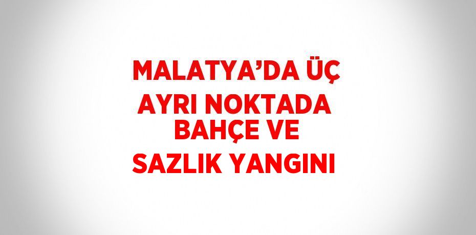 MALATYA’DA ÜÇ AYRI NOKTADA BAHÇE VE SAZLIK YANGINI