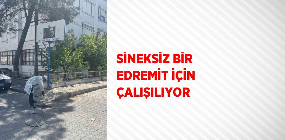 SİNEKSİZ BİR EDREMİT İÇİN ÇALIŞILIYOR