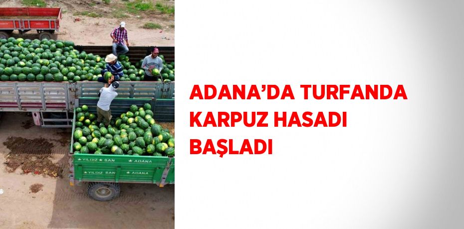 ADANA’DA TURFANDA KARPUZ HASADI BAŞLADI