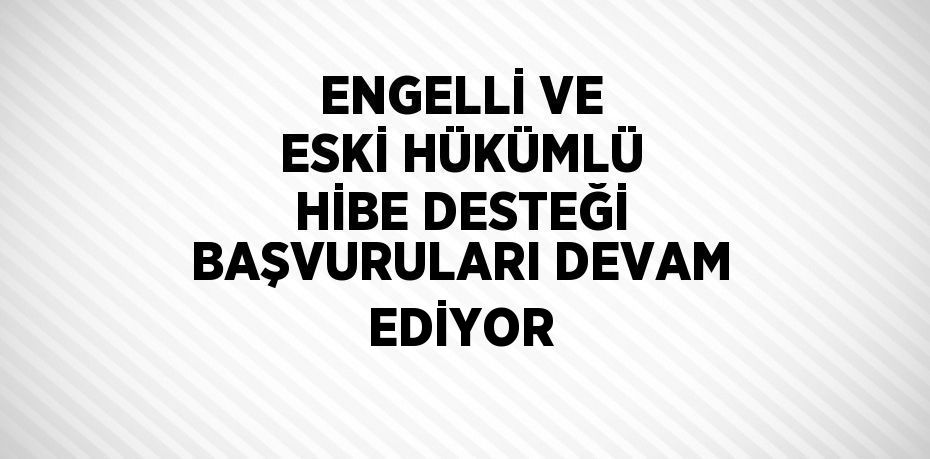 ENGELLİ VE ESKİ HÜKÜMLÜ HİBE DESTEĞİ BAŞVURULARI DEVAM EDİYOR