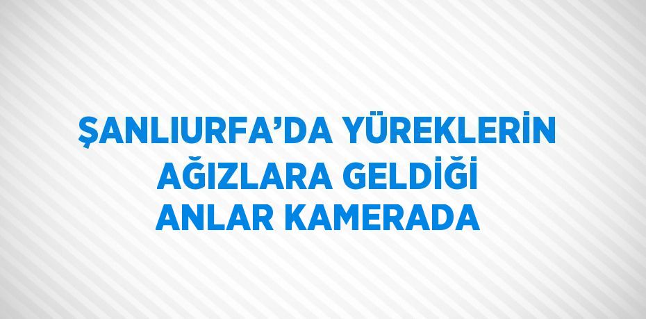 ŞANLIURFA’DA YÜREKLERİN AĞIZLARA GELDİĞİ ANLAR KAMERADA