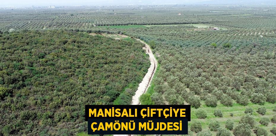 MANİSALI ÇİFTÇİYE ÇAMÖNÜ MÜJDESİ