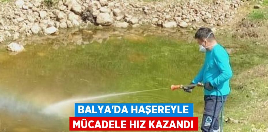 BALYA’DA HAŞEREYLE MÜCADELE HIZ KAZANDI