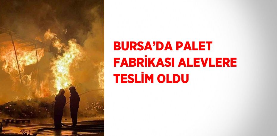 BURSA’DA PALET FABRİKASI ALEVLERE TESLİM OLDU