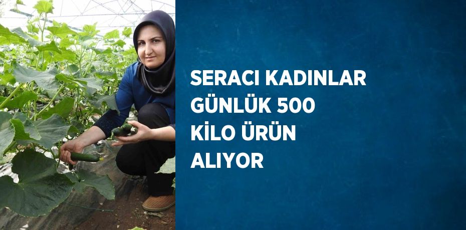 SERACI KADINLAR GÜNLÜK 500 KİLO ÜRÜN ALIYOR