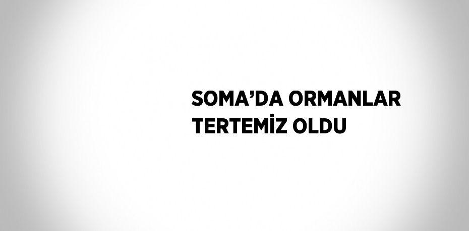 SOMA’DA ORMANLAR TERTEMİZ OLDU