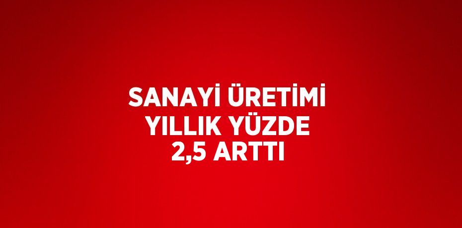 SANAYİ ÜRETİMİ YILLIK YÜZDE 2,5 ARTTI
