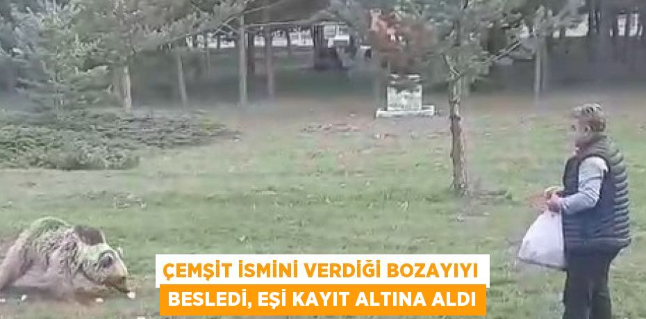 ÇEMŞİT İSMİNİ VERDİĞİ BOZAYIYI BESLEDİ, EŞİ KAYIT ALTINA ALDI