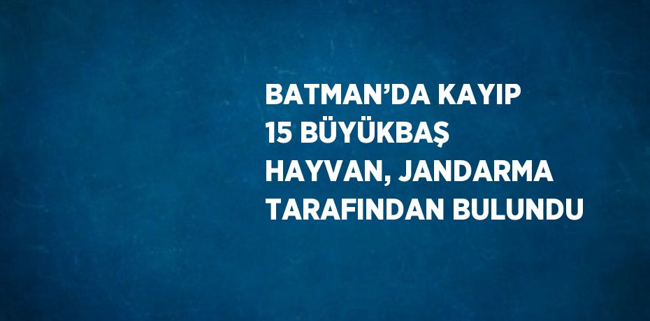 BATMAN’DA KAYIP 15 BÜYÜKBAŞ HAYVAN, JANDARMA TARAFINDAN BULUNDU