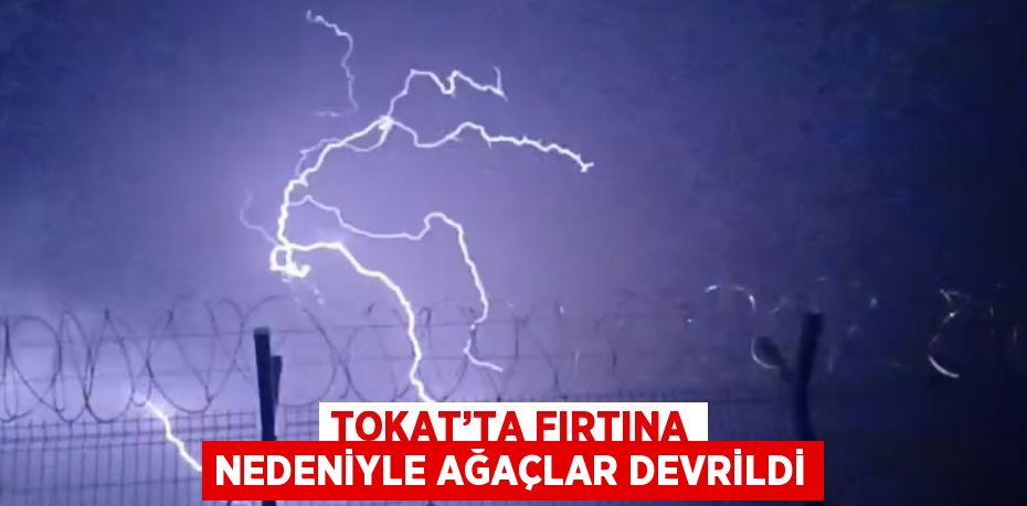 TOKAT’TA FIRTINA NEDENİYLE AĞAÇLAR DEVRİLDİ