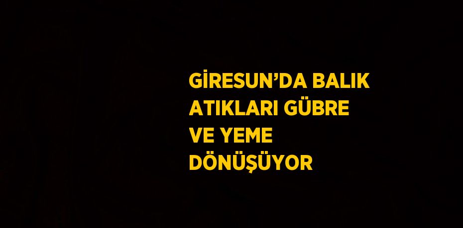 GİRESUN’DA BALIK ATIKLARI GÜBRE VE YEME DÖNÜŞÜYOR