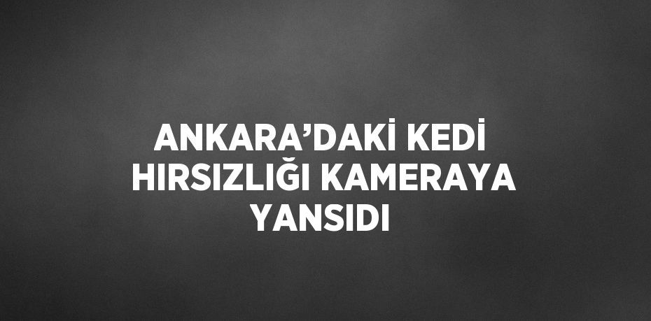 ANKARA’DAKİ KEDİ HIRSIZLIĞI KAMERAYA YANSIDI