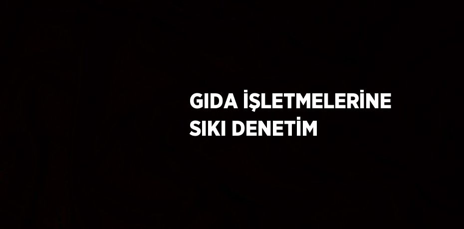 GIDA İŞLETMELERİNE SIKI DENETİM