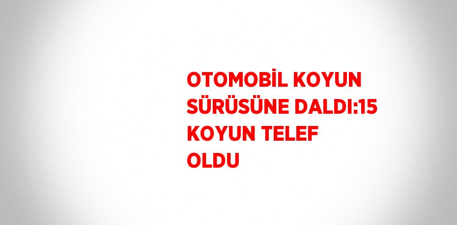 OTOMOBİL KOYUN SÜRÜSÜNE DALDI:15 KOYUN TELEF OLDU