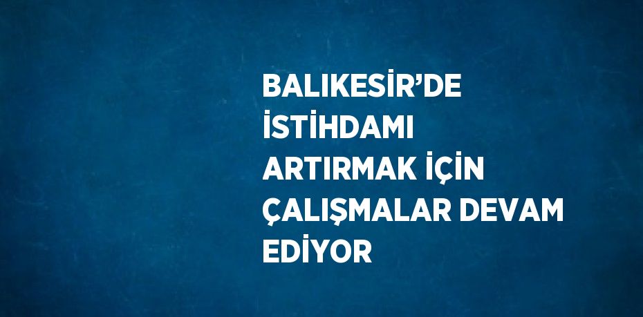 BALIKESİR’DE İSTİHDAMI ARTIRMAK İÇİN ÇALIŞMALAR DEVAM EDİYOR