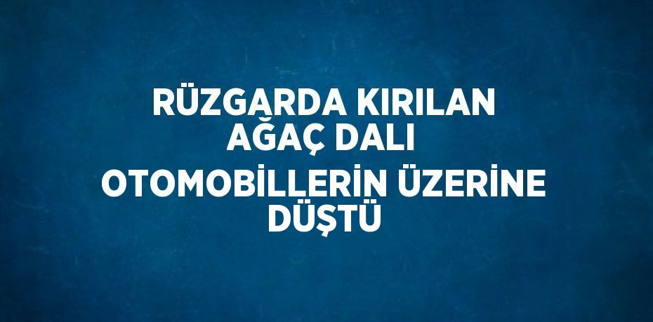 RÜZGARDA KIRILAN AĞAÇ DALI OTOMOBİLLERİN ÜZERİNE DÜŞTÜ