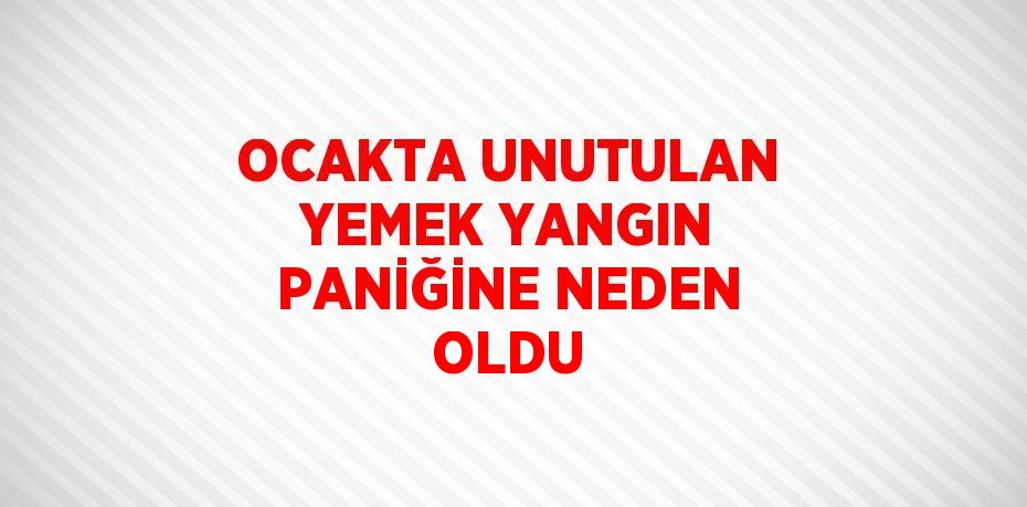OCAKTA UNUTULAN YEMEK YANGIN PANİĞİNE NEDEN OLDU