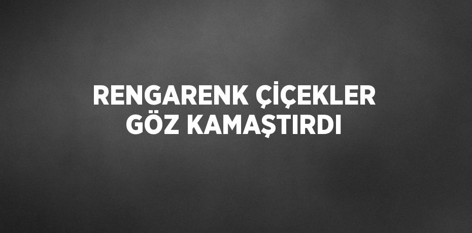 RENGARENK ÇİÇEKLER GÖZ KAMAŞTIRDI