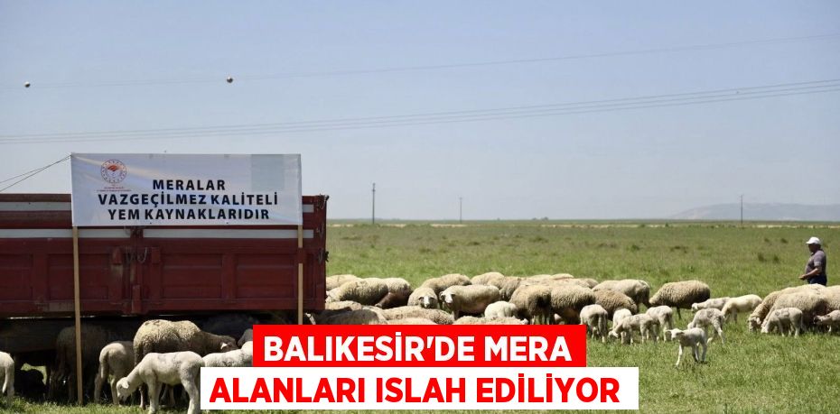 BALIKESİR’DE MERA ALANLARI ISLAH EDİLİYOR