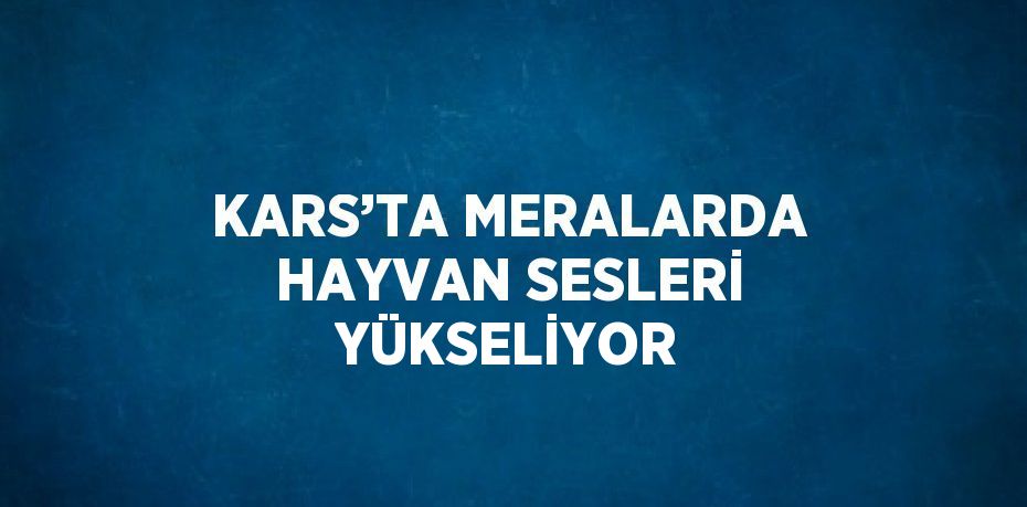 KARS’TA MERALARDA HAYVAN SESLERİ YÜKSELİYOR