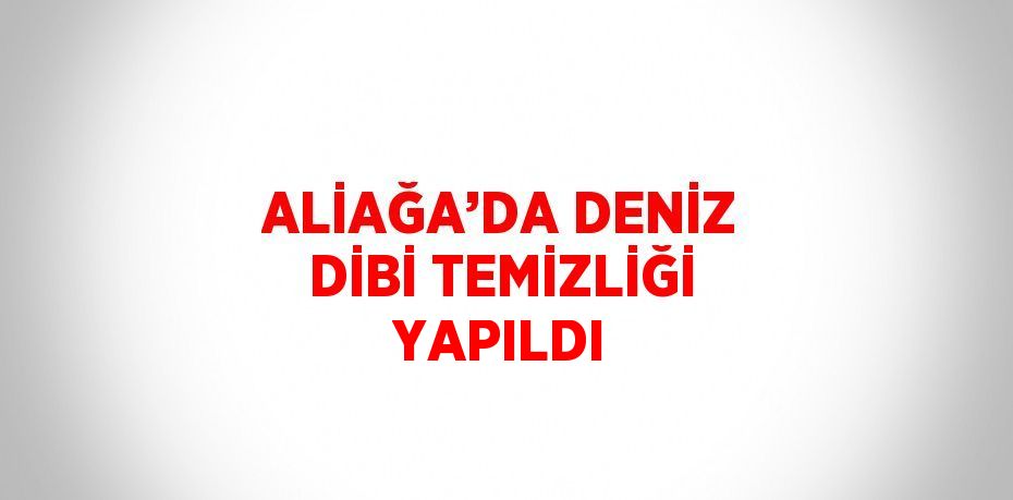 ALİAĞA’DA DENİZ DİBİ TEMİZLİĞİ YAPILDI