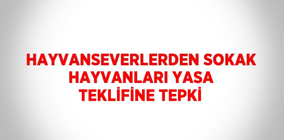 HAYVANSEVERLERDEN SOKAK HAYVANLARI YASA TEKLİFİNE TEPKİ