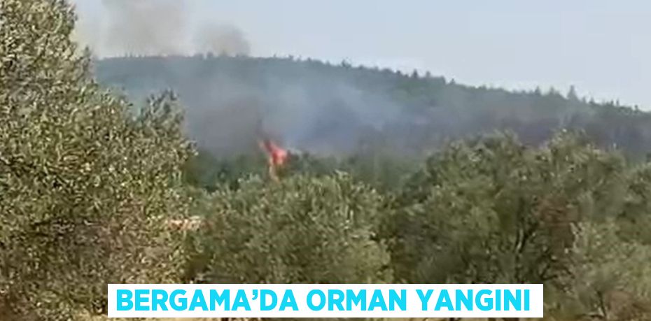 BERGAMA’DA ORMAN YANGINI