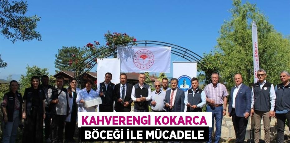 KAHVERENGİ KOKARCA BÖCEĞİ İLE MÜCADELE