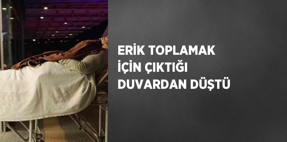 ERİK TOPLAMAK İÇİN ÇIKTIĞI DUVARDAN DÜŞTÜ