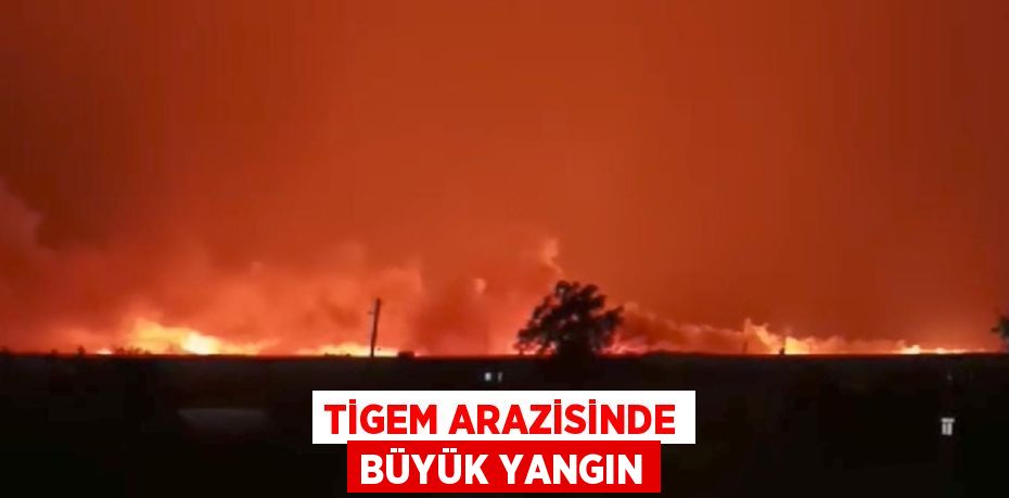 TİGEM ARAZİSİNDE BÜYÜK YANGIN