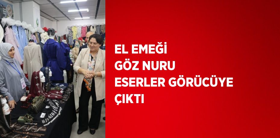 EL EMEĞİ GÖZ NURU ESERLER GÖRÜCÜYE ÇIKTI