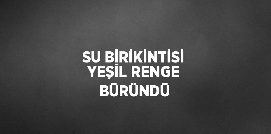 SU BİRİKİNTİSİ YEŞİL RENGE BÜRÜNDÜ